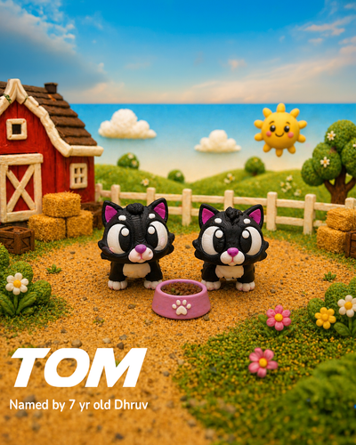 Tom the Cat