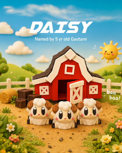 Daisy the Sheep