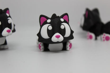 Tom the Cat