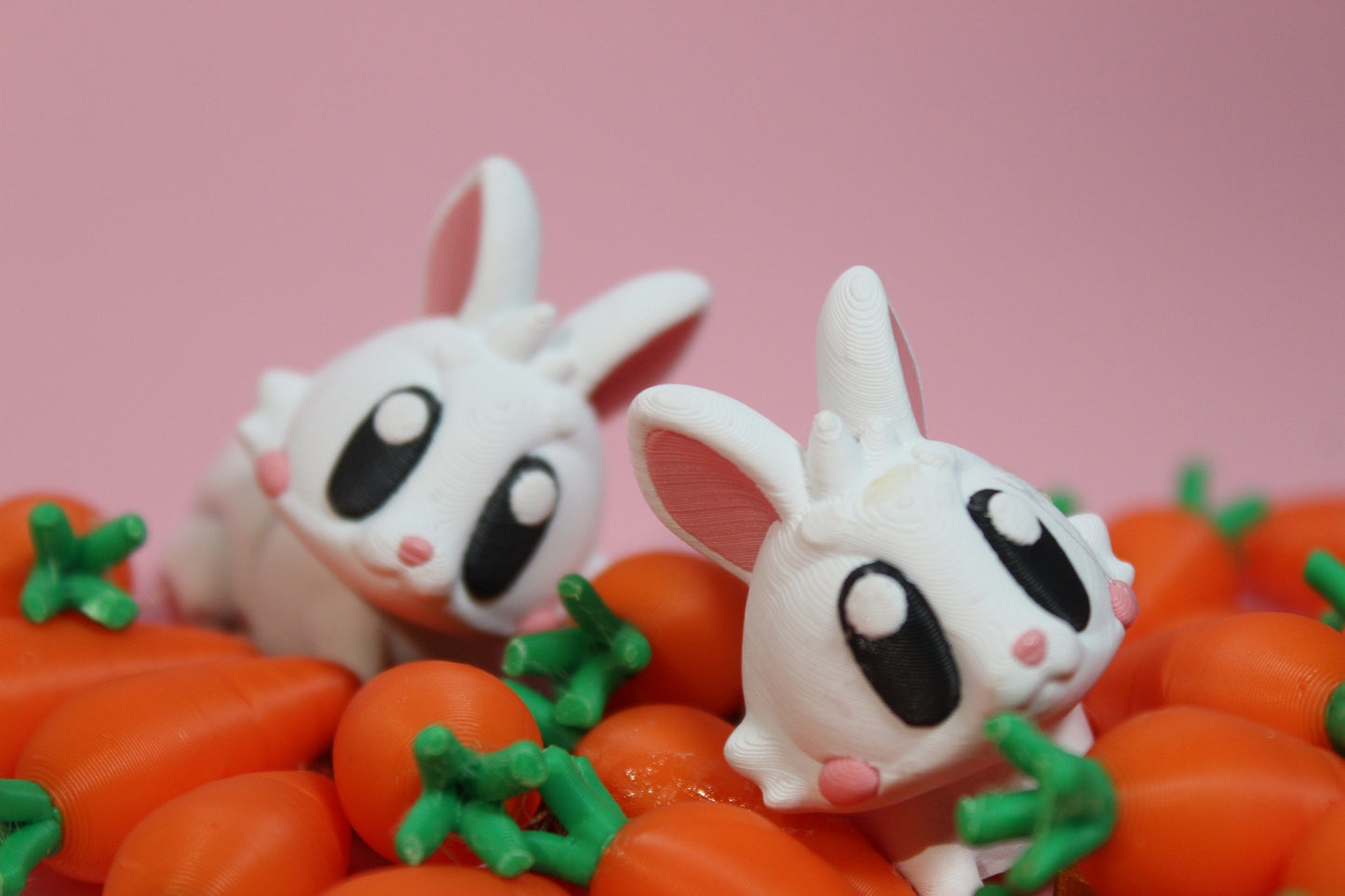 Carrots the Rabbit